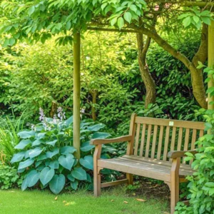 Árnyékliliom - Hosta