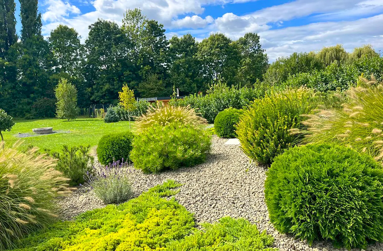 Zöld egész évben – örökzöld növények, amelyekkel a kert sosem lesz kopár